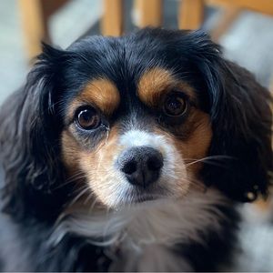 Meet your Posher, Jackie